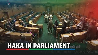 New Zealand lawmakers stage haka to protest indigenous treaty bill [upl. by Leonsis214]