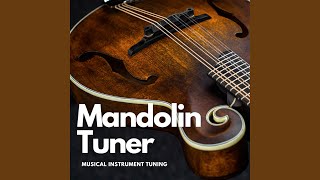 Mandolin Tuner [upl. by Tupler362]