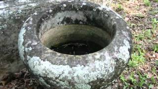 Greenwood Cemetery Orlando Florida [upl. by Anayek]