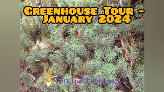 Orchid Botanics Greenhouse Update  Winter 2024 [upl. by Ettedualc95]