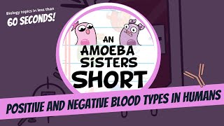 Positive and Negative Blood Types  Amoeba Sisters Shorts [upl. by Gervase]