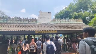 JALAN JALAN KE RAGUNAN‼️🦒🦓 VLOG [upl. by Elfie]