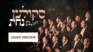 Skulen Mit Yiddish Nachas Album Preview A Moshy Kraus Production  משה קרויס  סקולען מיט אידיש נחת [upl. by Yorled]