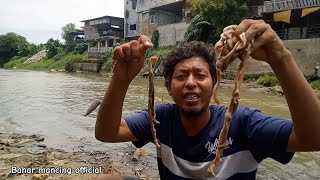 Mancing di sarang ikan tawes pakai umpan usus ayam segar hasilnya bikin kaget [upl. by Atela318]