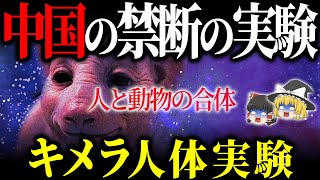 【ゆっくり解説】中国の実際の実験。人間と猿のキメラ…禁断の人体実験で人間の遺伝子を組み換えした結果…【ミステリー 都市伝説】 [upl. by Apurk316]