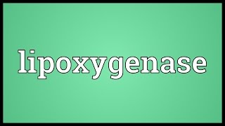 Lipoxygenase Meaning [upl. by Letnohs811]