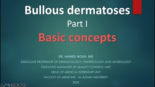 Bullous Dermatoses part 1 [upl. by Lashonda234]