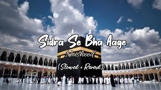 Sidra Se Bha Aage Nasheed❤️ Full Naat  Beautiful Voice by Musthaqeem💓 [upl. by Alyehs]