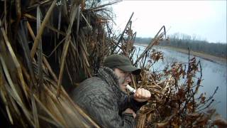 Quackmasters Duck Hunting GoPro HD Hero [upl. by Jacquelynn]