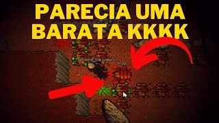 Tibia Nostalgia 74  Tentando sair de ROOKGARD [upl. by Ahsilra453]