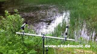 Frösche im Ochsenbachteich singen um die Wette  Natureatmo Frogs  AB Recording [upl. by Oigufer609]