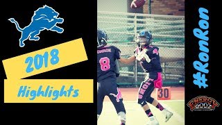 Quaron Robinson Langford 2018 Brick City Lions Mitey MiteHighlights [upl. by Yarehs]