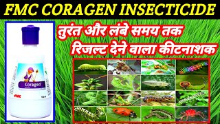 Coragen insecticide  fmc  Chlorantraniliprole185SC Coragen insecticide price dose work result [upl. by Yeargain505]