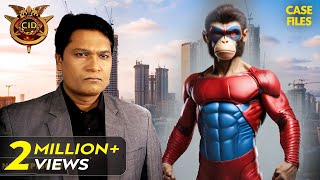 CID Team कैसे पकड़ेगी Monkey Man को  CID  TV Serial Latest Episode [upl. by Maggi651]