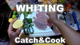 Whiting Sea Mullet  Southern Kingfish Catch and Cook  LEMON BUTTER GARLIC CILANTRO [upl. by Hochman]