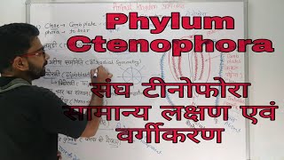 Phylum Ctenophora in Hindi  संघ टीनोफोरा  Ctenophora Common Characters and Classifications [upl. by Adnamra446]