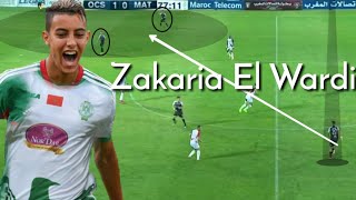 ZAKARIA EL WARDI Highlights 2019 [upl. by Nonez]