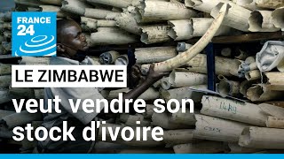 Le Zimbabwe veut vendre son stock divoire estimé à 600 millions de dollars • FRANCE 24 [upl. by Enneirb]