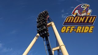 Montu OffRide Footage Busch Gardens Tampa BampM Inverted Coaster  NonCopyright [upl. by Sitarski]