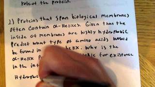 Protein structure Problems 1 [upl. by Eelatsyrc]