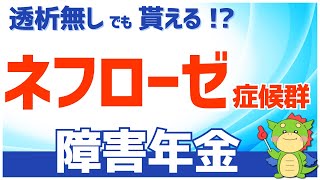 【質問回答】ネフローゼ症候群は障害年金を受給できるのか？社労士の探し方も解説！ [upl. by Akers]