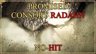 Promised Consort Radahn  No Hit [upl. by Anerat]