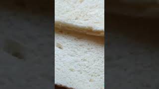 Egg Sandwich Recipe subscribemychannel rubykakitchen [upl. by Mohammad150]