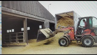 Militaire oefening op de boerderij [upl. by Wayolle757]