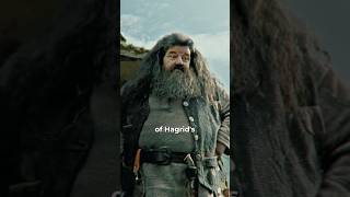 Hagrid Was Played By Two Actors Heres How 🧙‍♂️ [upl. by Amiel]