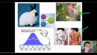 Advanced Classical Genetics Part 3 Genetic Relationships Part 2 [upl. by Mullane370]