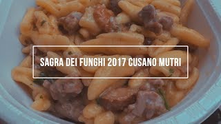 Funghi allucinanti  Sagra dei Funghi 2017 Cusano Mutri [upl. by Ivana327]