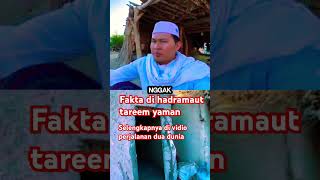 Fakta di hadramaut tareem Yaman viralshorts viralvideo tareem baalawi habib news [upl. by Erdnassak]