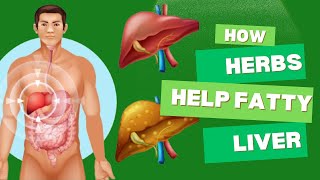 Herbs for Fatty Liver Natural Solutions to Boost Liver Health [upl. by Yvehc]