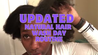 My EXPERT NATURAL HAIR WASH DAY AND Care Routine for a Perfect Day [upl. by Nnyletak583]