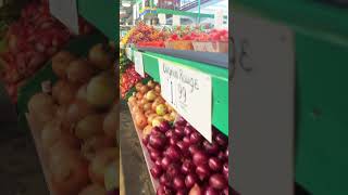 Jean Talon Market Montreal Montreal market [upl. by Lyrac]