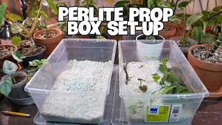 HOW TO SETUP AND MAINTAIN A PERLITE PROP BOX  My Favorite Rooting Method [upl. by Adnolehs935]