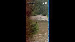 Flooding in Henderson County North Carolina [upl. by Senior]