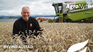 CLAAS AVERO 240 og HORSCH Pronto 3 DC  Øyvind Austad [upl. by Novyert970]