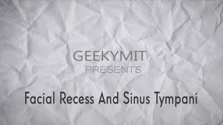 Facial Recess  Middle Ear  3D  ENT [upl. by Yeldua164]