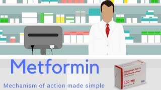 METFORMIN MECHANISM OF ACTION MADE SIMPLE ANIMATED [upl. by Purvis]