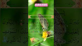 surah furqan سورہ الفرقان relaxingsounds quranrecitation short muslim islamicvideo [upl. by Anel]