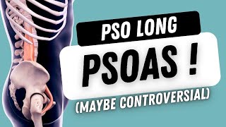 Is PSOAS Really the Culprit Behind Your Hip Pain [upl. by Rivkah485]