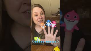 CUTE Baby Shark Finger Family Song🦈 kidssongs toddlersongs [upl. by Aihsetal]