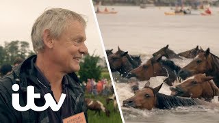 The Chincoteague Pony Swim  Martin Clunes Islands of America  ITV [upl. by Jaella]