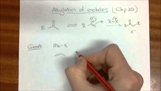 Chemistry 3 Alkylation of Enolates Introduction [upl. by Fiore]