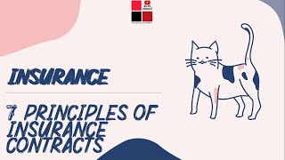 Principles of Insurance  7 Insurance Principles  Insurance Contract  IT6 [upl. by Akehsyt]