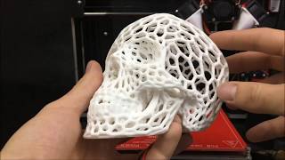 3D Printed Voronoi Skull TimeLapse [upl. by Hesta]