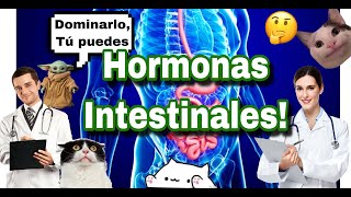 TODAS LAS HORMONAS INTESTINALES [upl. by Abijah840]