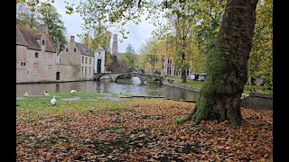 A captivating video from Brugge Belgium October 2024 [upl. by Nerad]