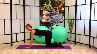 Pilates Series de Planchas Primera Parte [upl. by Weaks306]